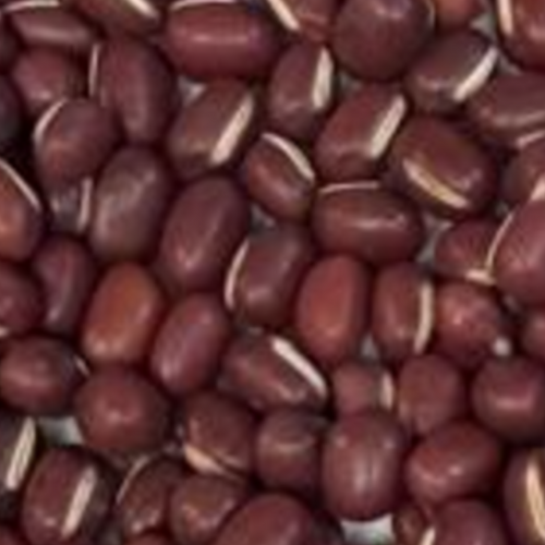 Adzuki Beans