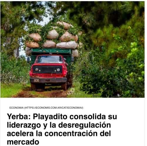 Playadito Consolidar su Liderazgo