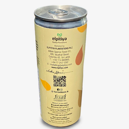 Tropifrut Tamarind Fizzy Drink 250ml