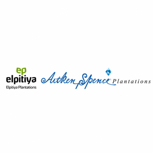 Elpitiya Plantations PLC