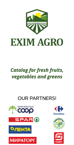 Fresh fruits and vegetables