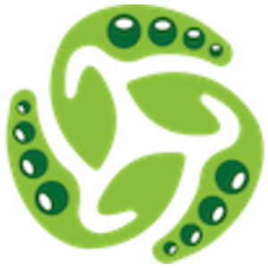 SIRDARYA BEANS EXPORT