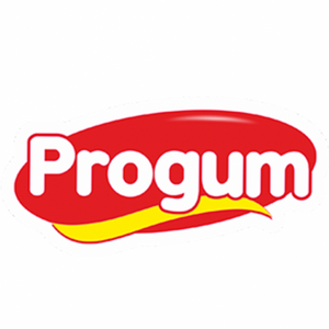 Progum LLC