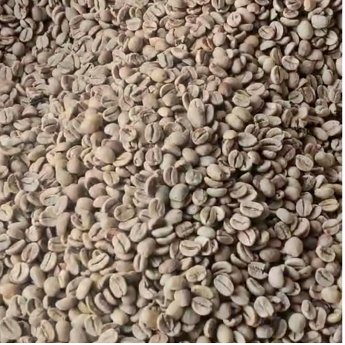 Specialty Coffee Beans - Mogiana 16UP