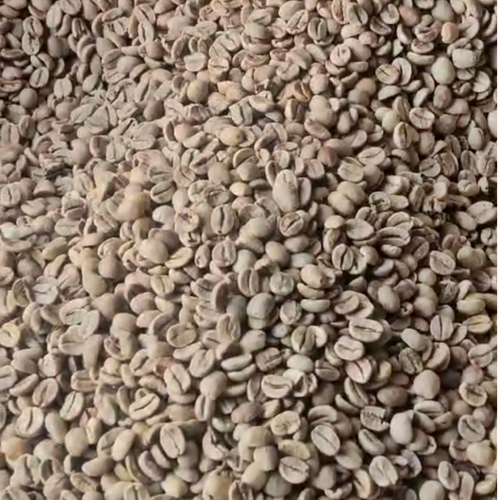 Specialty Coffee Beans - Mogiana 16UP