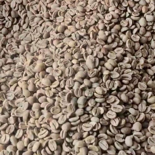 Specialty Coffee Beans - Mogiana 16UP