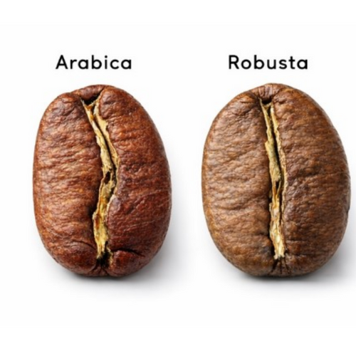 Arabica and Robusta Coffee