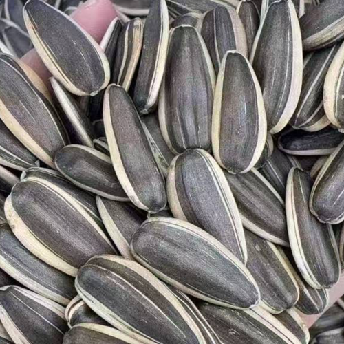 sunflower seeds
