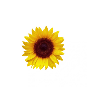 INNER MONGOLIA LONGDINGSHENGMAO AGRICULTURAL DEVELOPMENT CO.,LTD