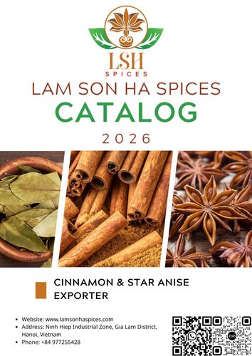 LAM SON HA SPICES - CATALOG - 2026