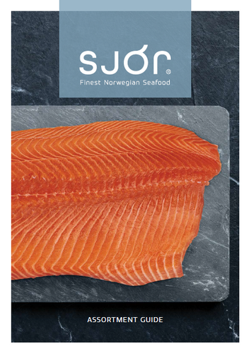 Sjór Product Portfolio