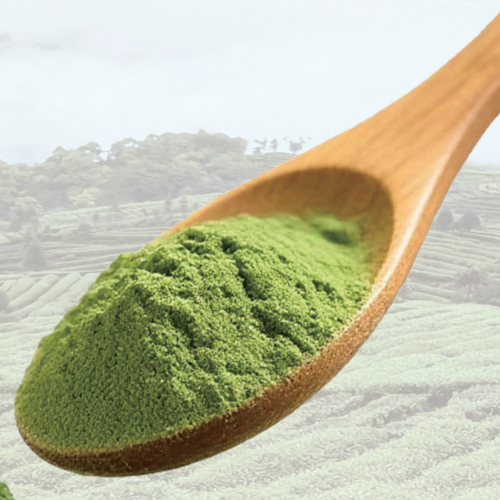 Matcha