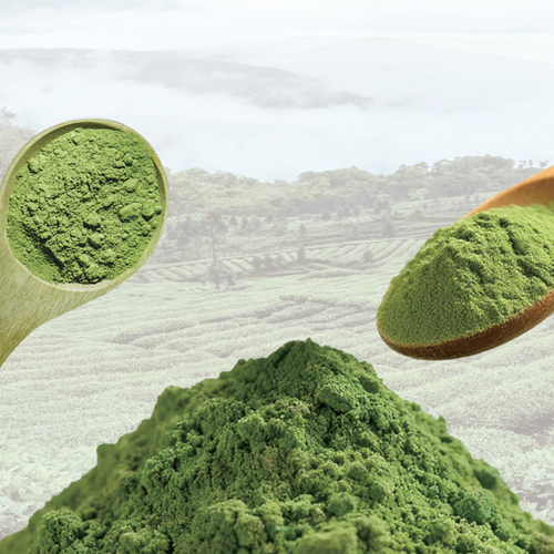 Matcha