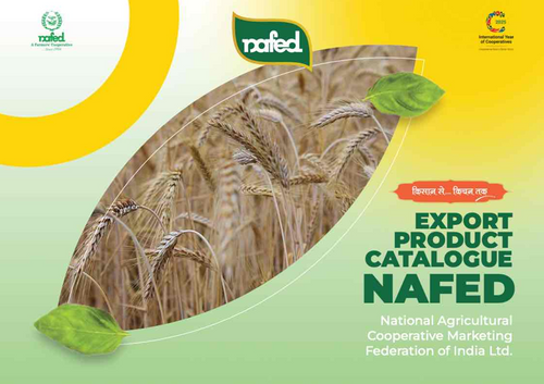 Export Product Catalogue