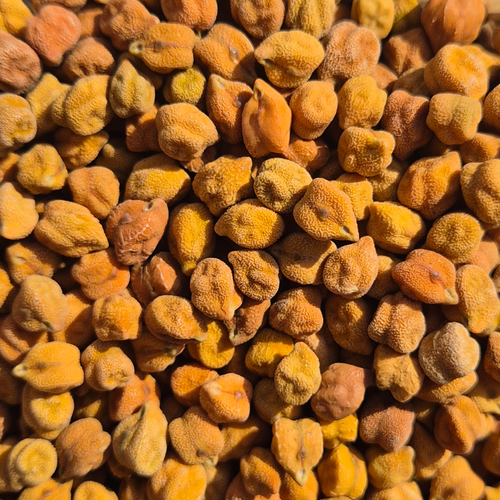 DESI CHICKPEAS