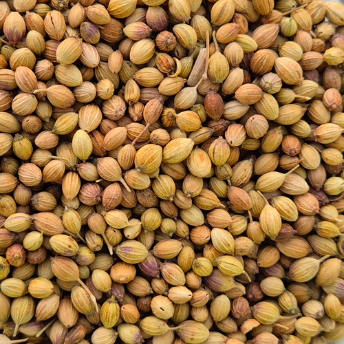 CORIANDER SEEDS