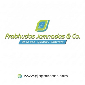 Prabhudas Jamnadas & Co