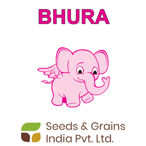 BHURA