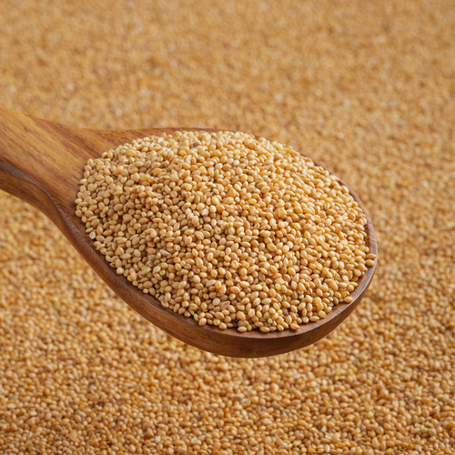Safflower seeds