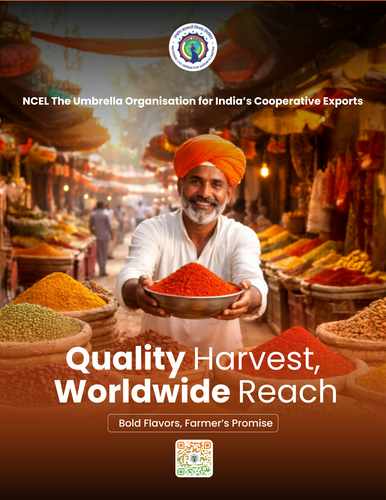 NCEL Spices | Rooted in India's Heritage, Delivered with Modern Excellence