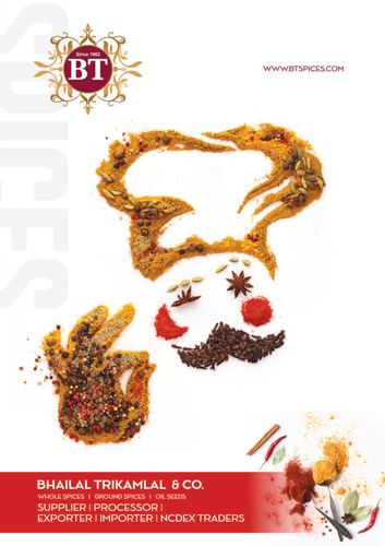 BHAILAL TRIKAMLAL & CO