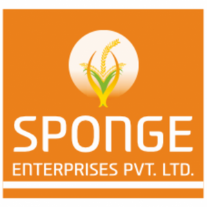 Sponge Enterprises Private Limited