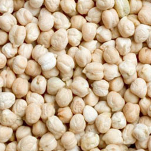 Kabuli Chickpeas