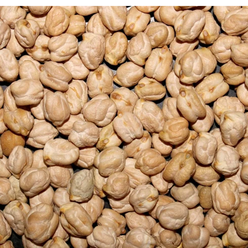 Kabuli Chickpeas