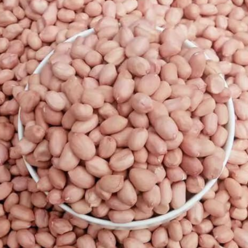 Peanut / Groundnut