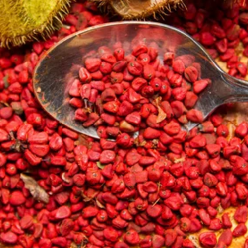 Annatto Seds