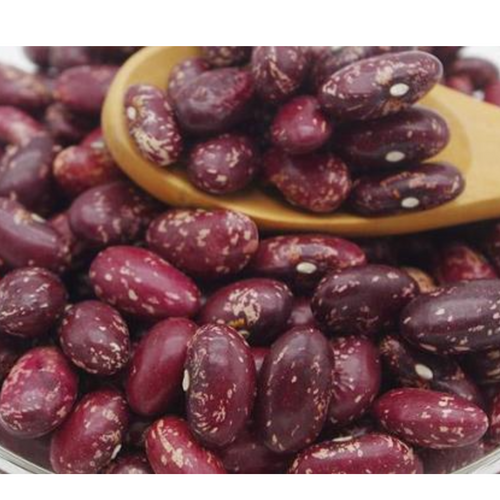 Purple Speckled Kidney Beans