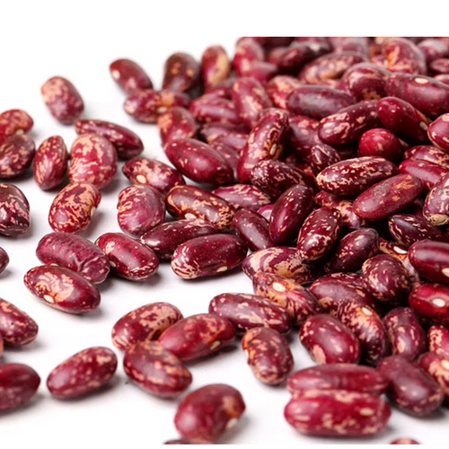 Purple Speckled Kidney Beans