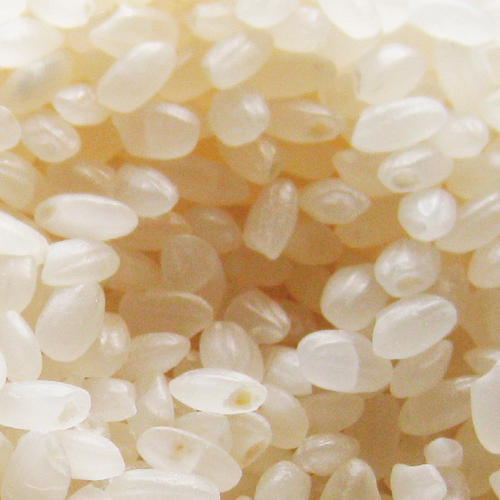 Japonica / Round Rice - Gulfood 2026
