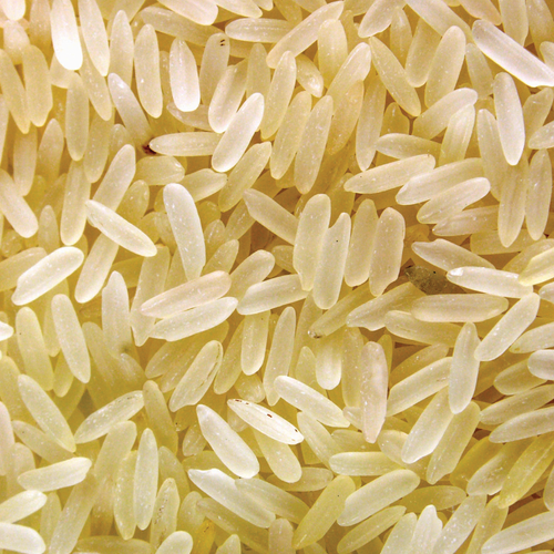 Parbold Rice Parboiled Rice - Gulfood 2026