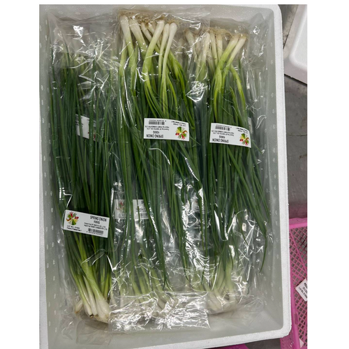 Spring onions - Gulfood 2026