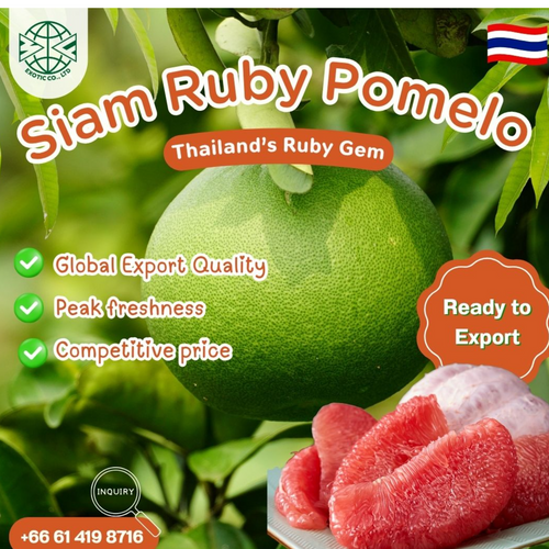 Thailand’s Ruby Gem – Siam Ruby Pomelo