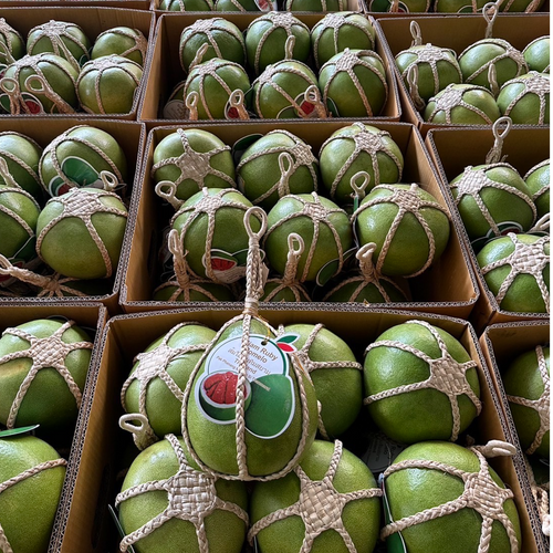 Thailand’s Ruby Gem – Siam Ruby Pomelo