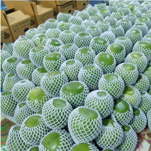 Thailand’s Ruby Gem – Siam Ruby Pomelo