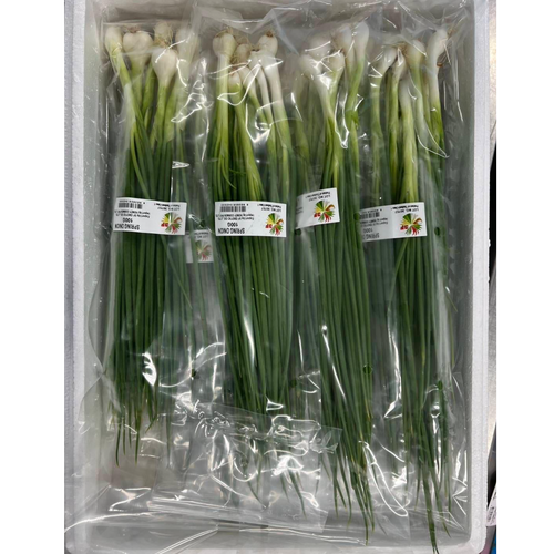 Spring onions - Gulfood 2026