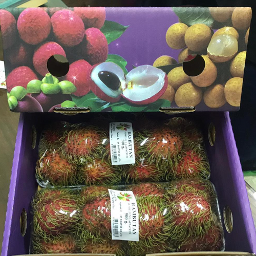 Rambutan — Thailand’s tropical gem!