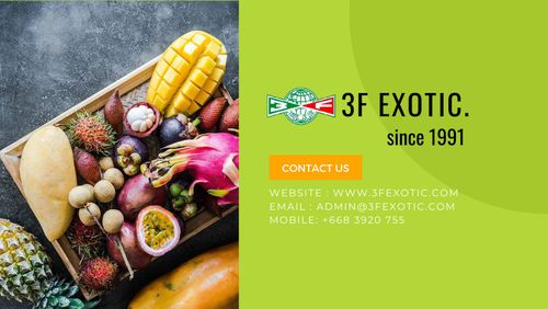 Fresh Fruits and Vegetables