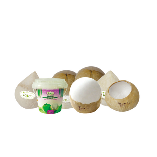 Coconut  Snow Ball