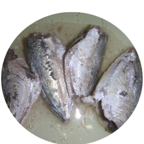 canned mackerel