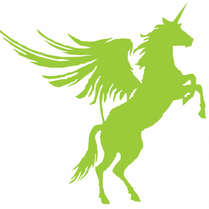 PEGASUS FOOD CO., LTD