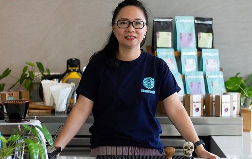 Hillkoff Arabica Coffee from Thailand