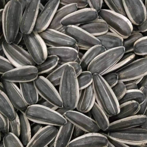 Sunflower seeds