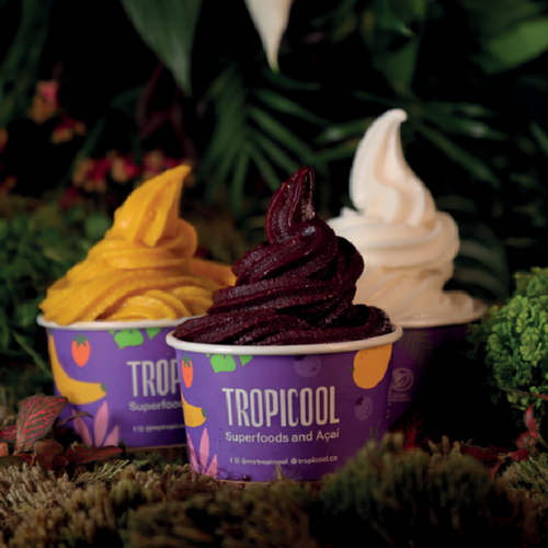 Tropicool Mango Pulp