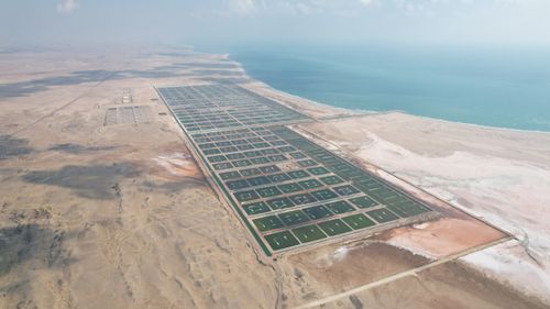 Aquinex Showcases Premium Omani Seafood at Gulfood Dubai 2026