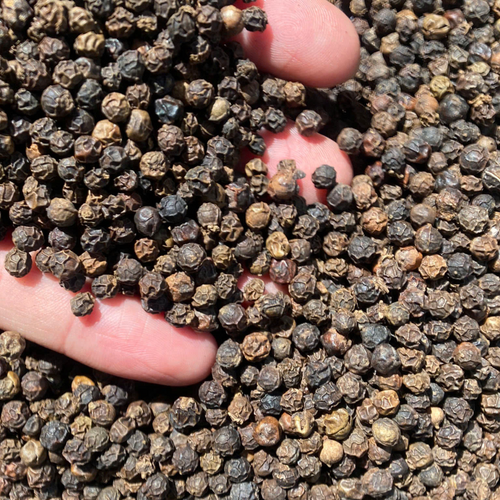Black pepper