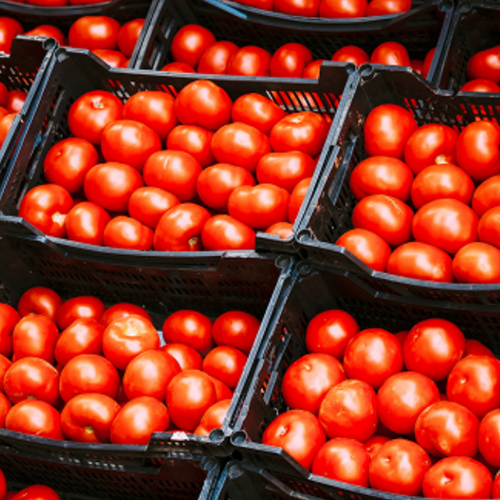 Omnichannel 3PL Distribution